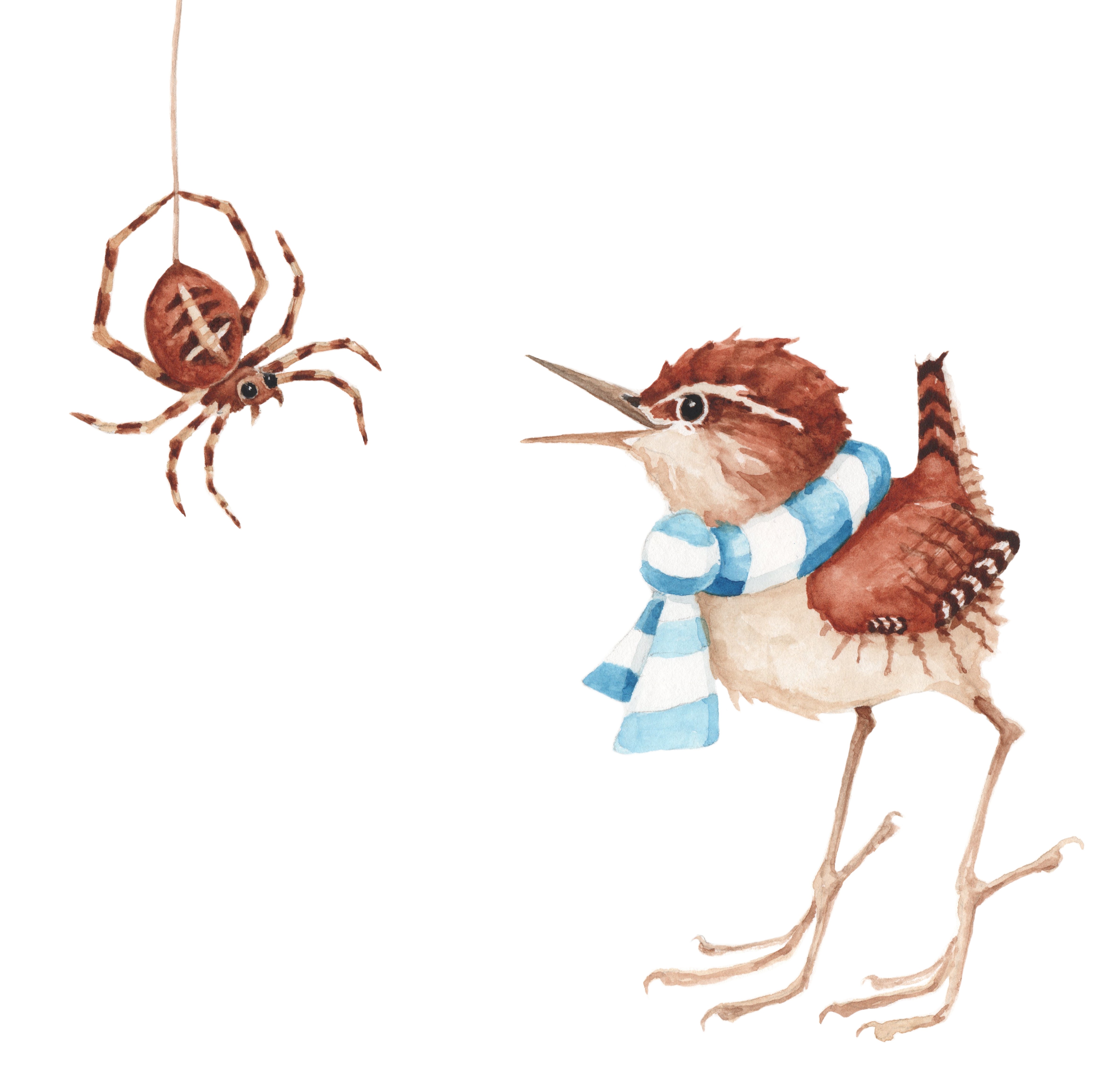 <b>klein jantje met spin